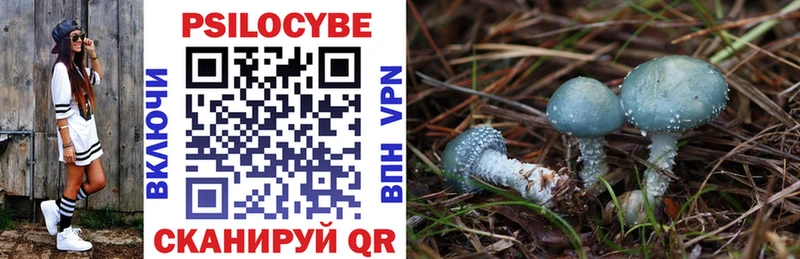 Галлюциногенные грибы MAGIC MUSHROOMS  Ейск 